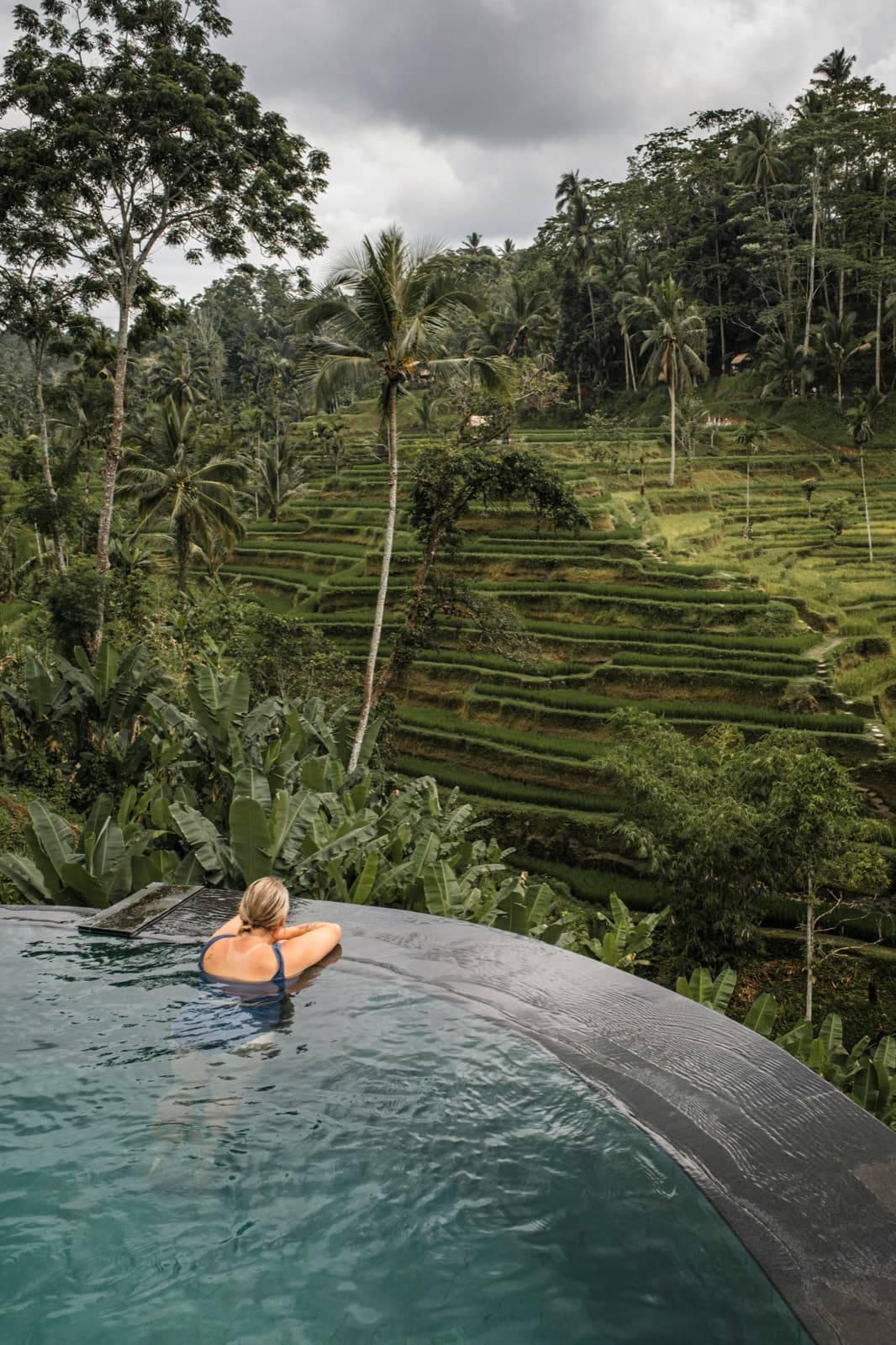 A swimmer resting at the edge of an infinity pool facing green rice terraces