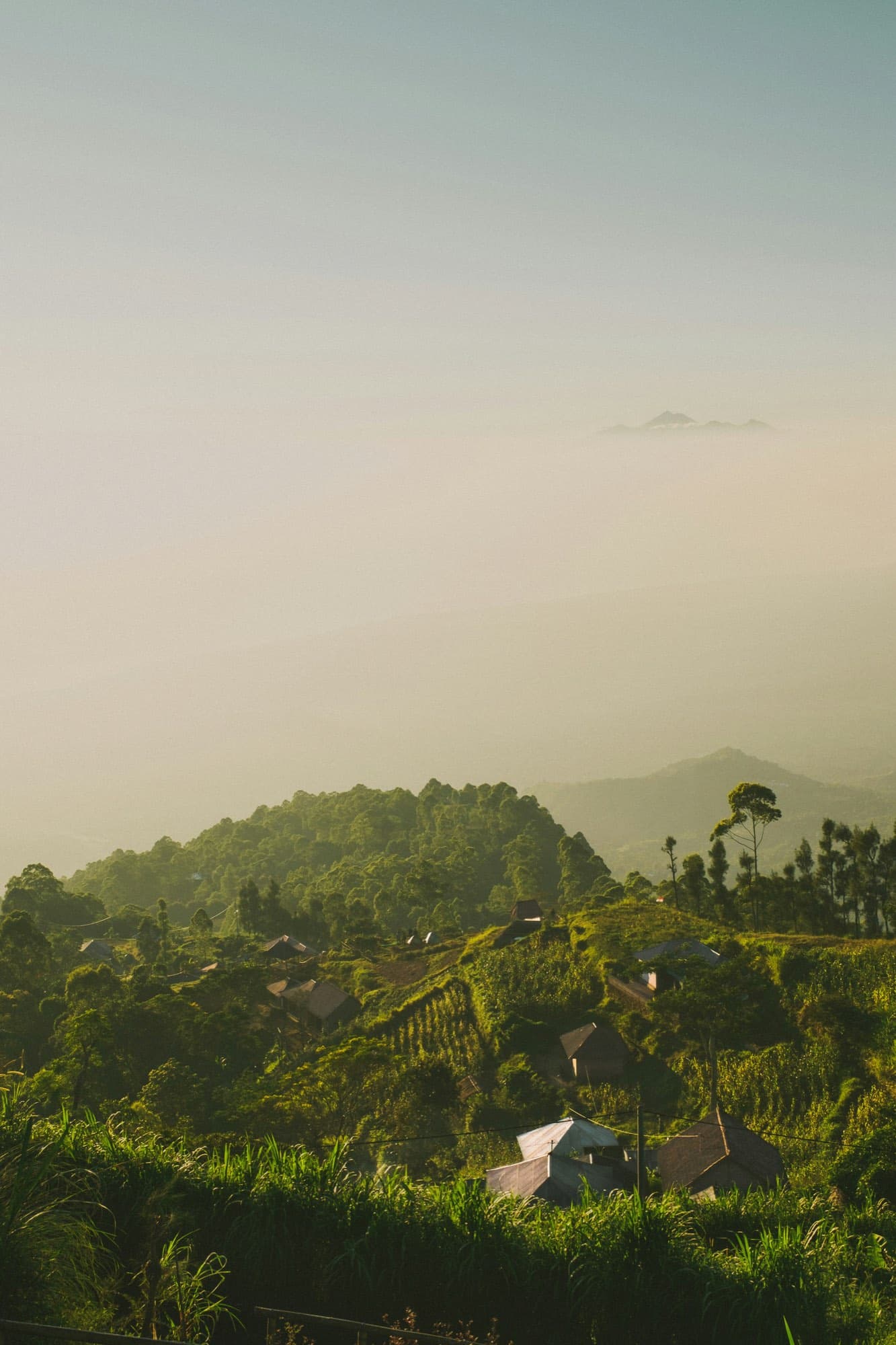 Mist rolling over terraced green hills, a village half-hidden below